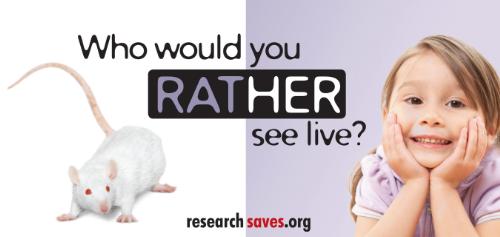 The polarized debate about animal research – Onewelfare